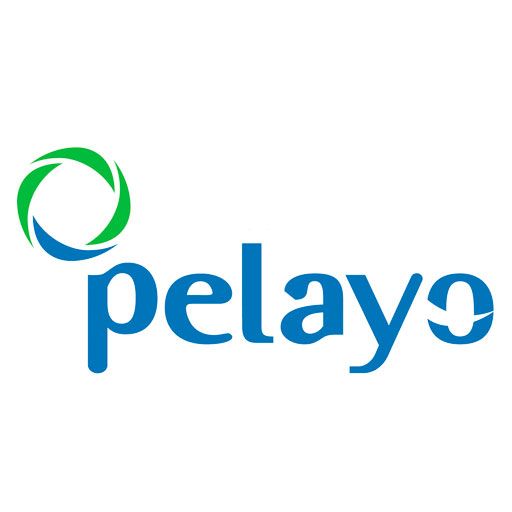 pelayoseguros